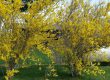 blog - march 2025
