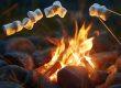 making memories at Holiday Camping Resort in New Era MI