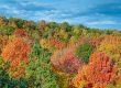 Fall Colors in Michigan