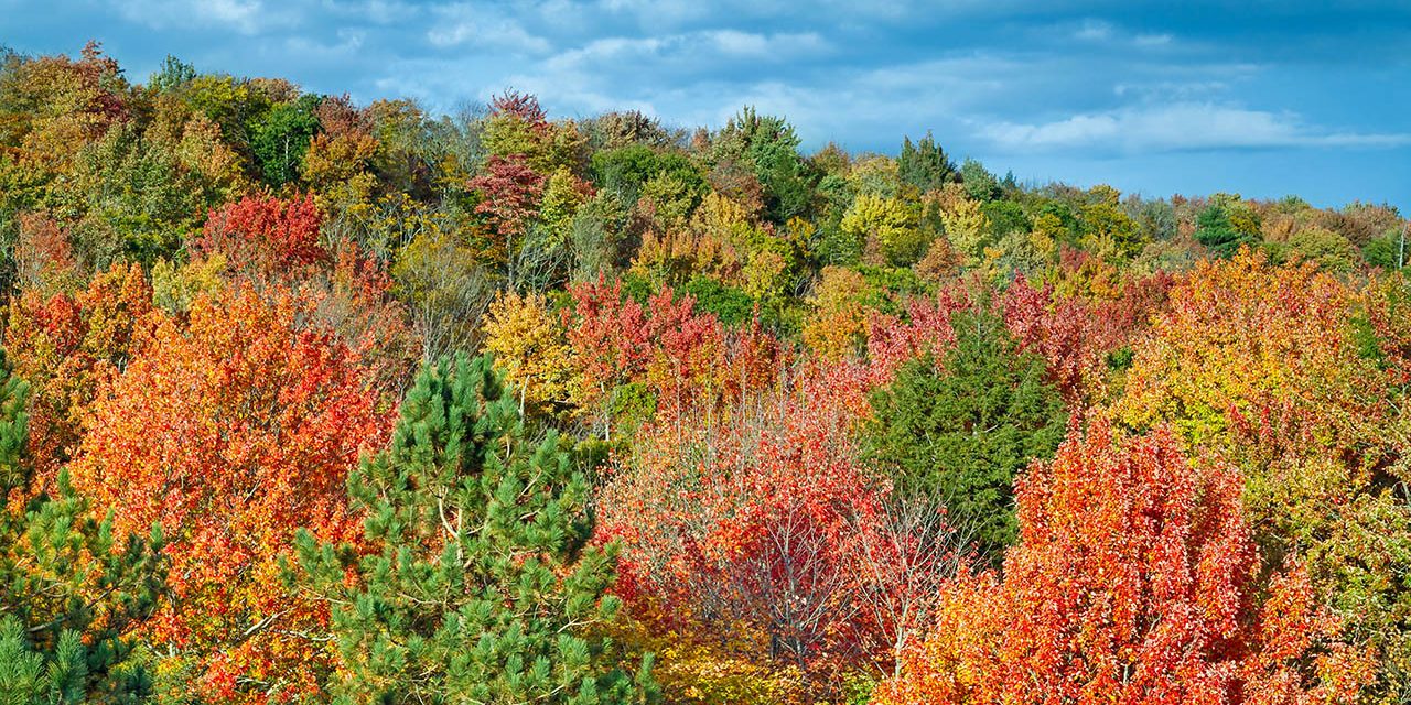 Fall colors in Michigan Fall Colors in Michigan