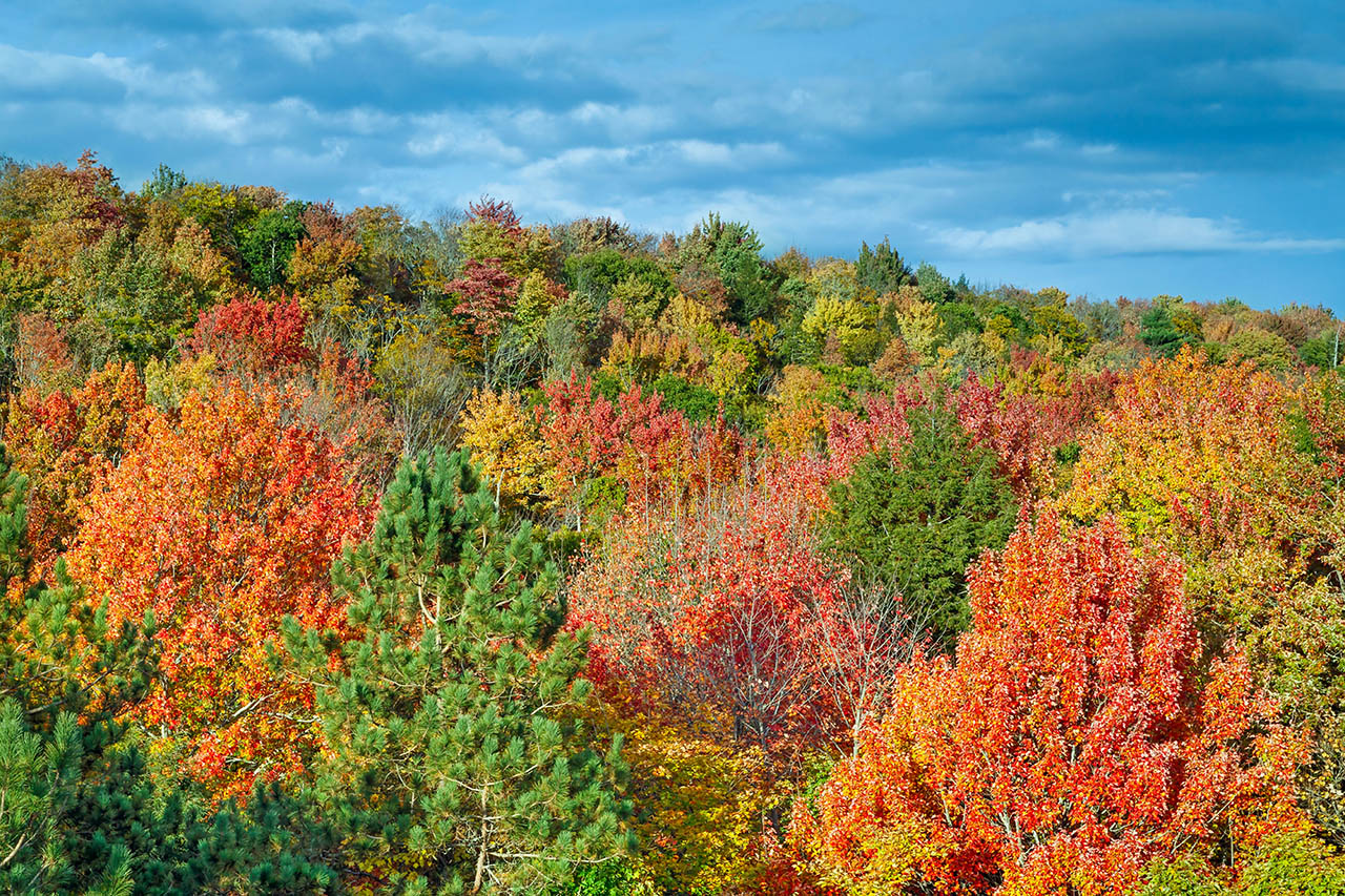 Fall colors in Michigan Fall Colors in Michigan